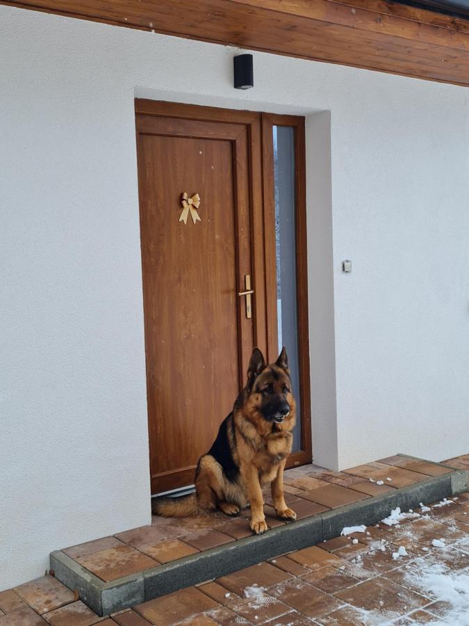 Apartmány Bystrá-Chopok Breznóbánya Kültér fotó